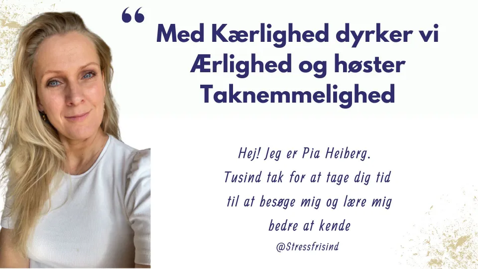 om mig og mit baggrund